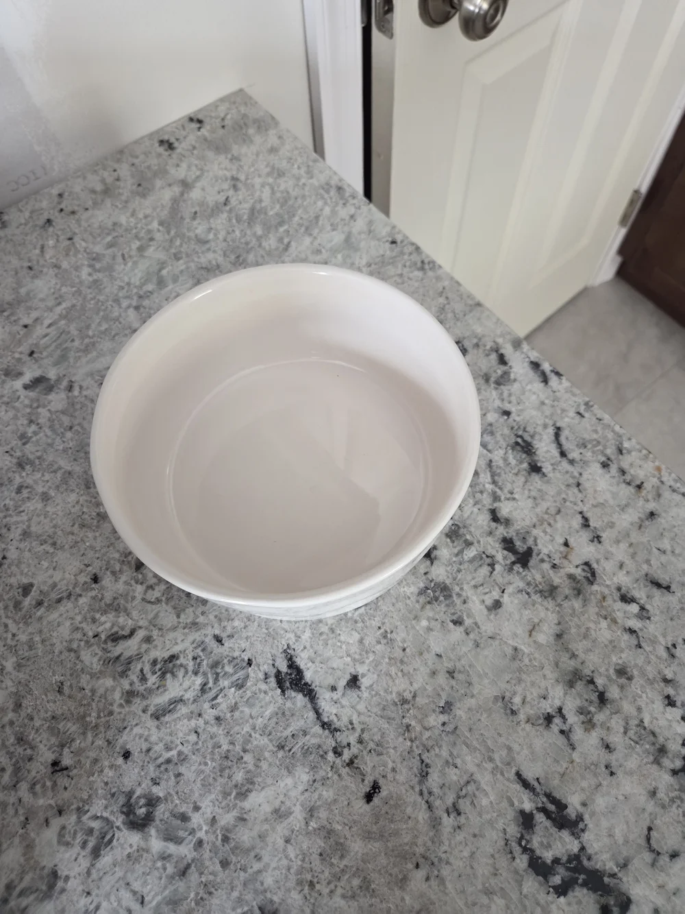 Rae Dun 'Drink Up' Ceramic Pet Bowl
